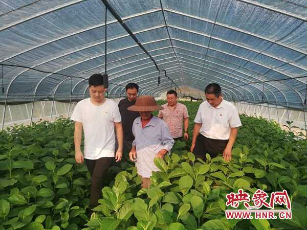 新氣象！南陽市南召縣實施“頭雁工程”實現村美民富