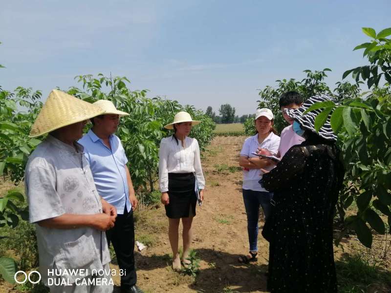 太康縣毛莊鎮的“傻子”干部